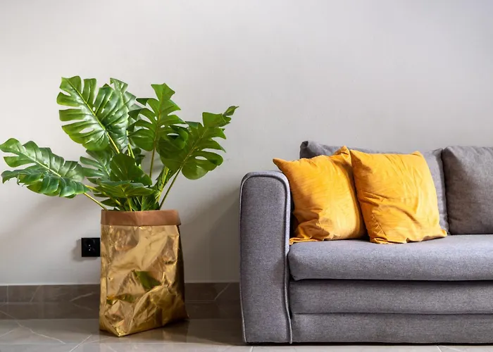 Studio Loft12